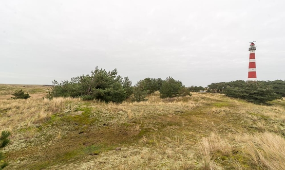 Vuurtorenpark 205 0ong