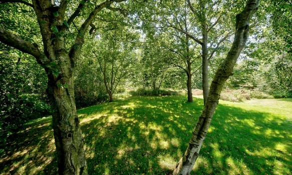 Bergeendsweg 110