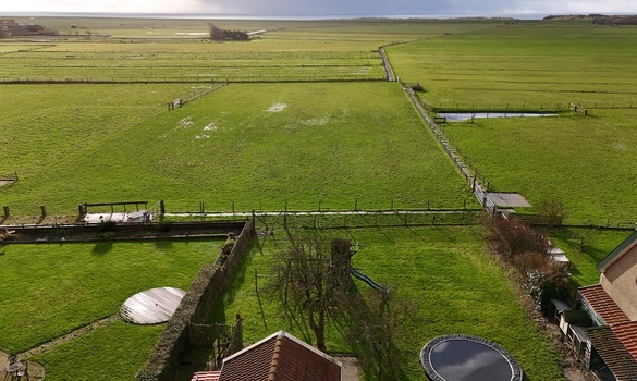 Westerlaan 29