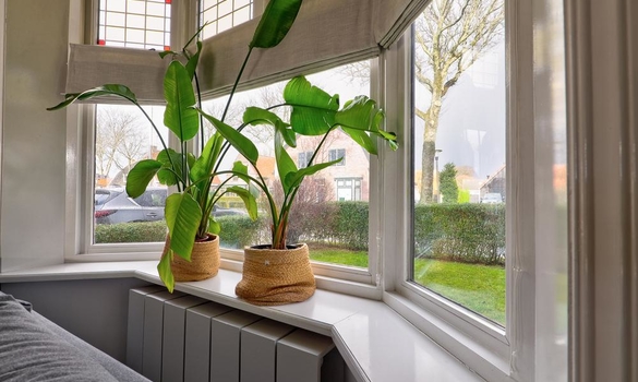 Westerlaan 29