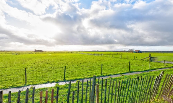 Westerlaan 29