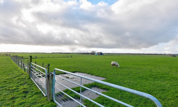 Westerlaan 29